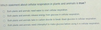 Which statement about cellular respiration in plants and animals is true?
Both plants and animals need water to start cellular respiration
Both plants and animals release energy from glucose in cellular respiration.
Both plants and animals take in carbon diuxide to break down glucose in ceilular respiration.
Both plants and animals need chiorophyl to make glucose before using it in cellular respiration.