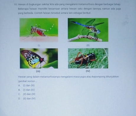 Hewan di lingkungan sekitar kita ada yang mengalami metarnorfosis dengan berbagaı tahap
Beberapa hewan memiliki kesamaan antara hewan satu dengan lainnya, namun ada juga
yang berbeda. Contoh hewan tersebut antara lain sebagai berikut
(1) (I1)
(') (IV)
Hewan yang dalam metamorfosisnya mengalami masa pupa atau kepompong ditunjukkan
gambar nomor
A. (I) dan (III)
B. (I) dan (IV)
C. (It) dan (III)
D. (II) dan (IV)