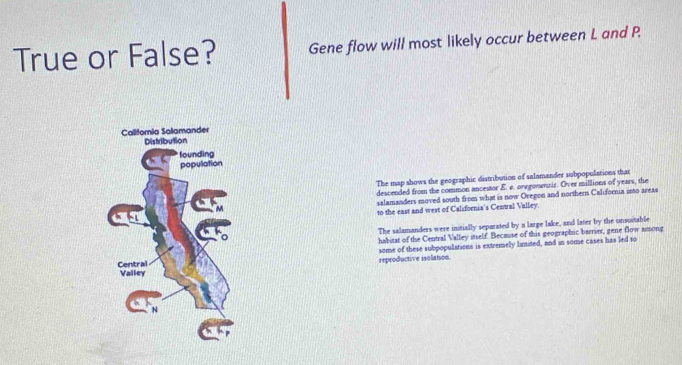 True or False? Gene flow will most likely occur between L and P. 
The map shows the geographic distribution of salamander subpopulations that 
descended from the common ancestor E. e. oregonnzir. Over millions of years, the 
salamanders moved south from what is now Ovegon and northern California into areas 
to the east and west of California's Central Valley. 
The salamanders were initially separated by a large lake, and later by the unsuitable 
habitat of the Central Valley istself. Because of this geographic barrier, gene flow among 
reproductive isolaton. some of these subpopulations is extremely limited, and in some cases has led to