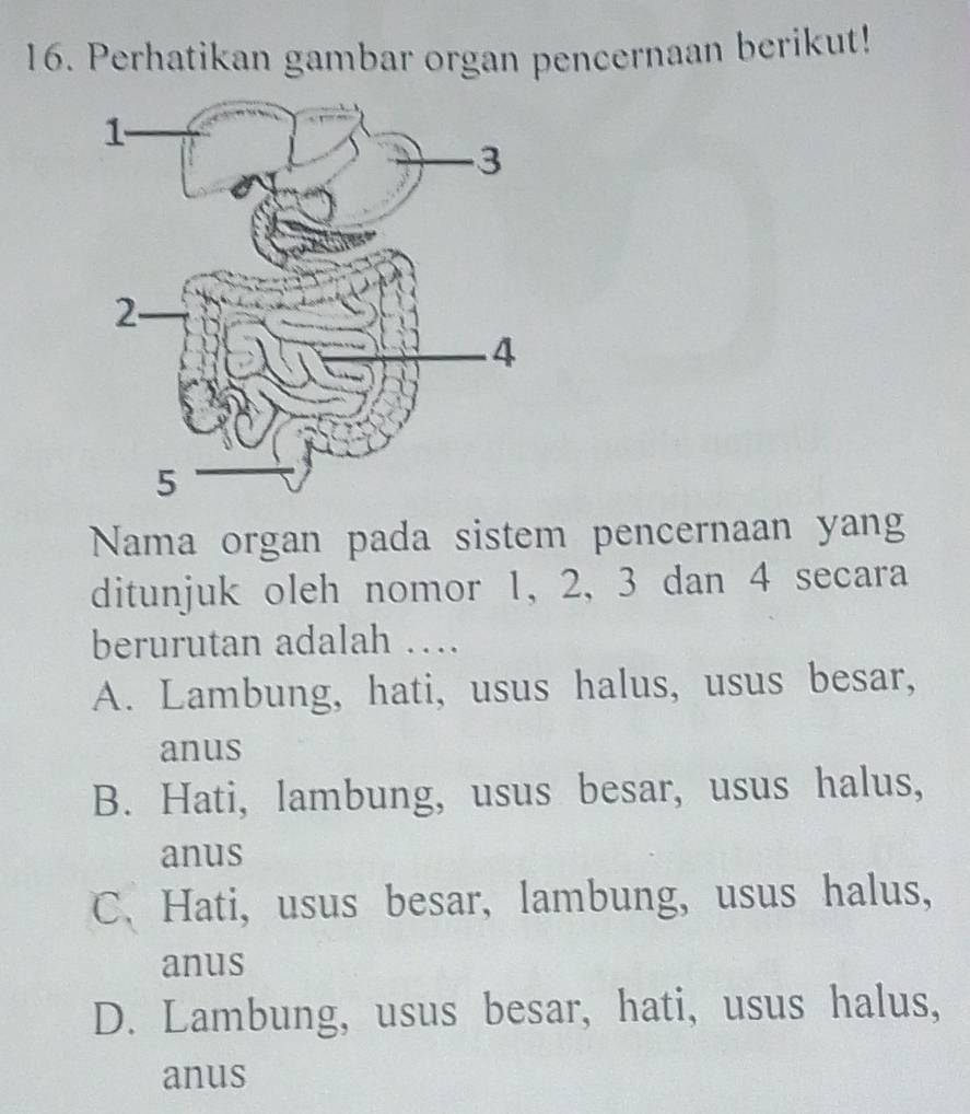 Perhatikan gambar organ pencernaan berikut!
Nama organ pada sistem pencernaan yang
ditunjuk oleh nomor 1, 2, 3 dan 4 secara
berurutan adalah …
A. Lambung, hati, usus halus, usus besar,
anus
B. Hati, lambung, usus besar, usus halus,
anus
C、Hati, usus besar, lambung, usus halus,
anus
D. Lambung, usus besar, hati, usus halus,
anus