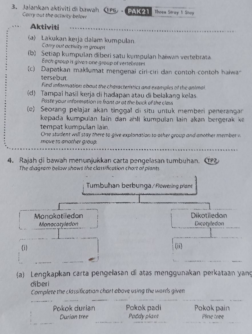 Jaiankan aktiviti di bawah 1P6) - Pake Three Stroy 1 Stoy 
Carry out the activity below 
_ 
Aktiviti 
(a) Lakukan kerja dalam kumpulan 
Carry out activity in groups 
(b) Setiap kumpulan diberi satu kumpulan haiwan vertebrata 
Each group is given one group of vertebrates 
(c) Dapatkan maklumat mengenai ciri-ciri dan contoh contoh haiwa 
tersebut 
Find information about the characteristics and examples of the animai 
d Tampal hasil kerja di hadapan atau di belakang kelas 
Paste your information in front or at the back of the class 
e Seorang pelajar akan tinggal di situ untuk memberi penerangar 
kepada kumpulan tain dan ahli kumpulan lain akan bergerak k. 
tempat kumpulan lain. 
One student will stay there to give explanation to other group and another member w 
move to another group. 
4. Rajah di bawah menunjukkan carta pengelasan tumbuhan. 1 
The diagram below shows the classification chort of plants 
Tumbuhan berbunga/ Flowering plant 
Monokotiledon Dikotiledon 
Monocoryledon Dicotyledon 
(i) (ii) 
_ 
(a) Lengkapkan carta pengelasan di atas menggunakan perkataan yang 
diberi 
Complete the classification chart above using the words given 
_ 
_ 
_ 
__ 
Pokok durian Pokok padi Pokok paín 
_ 
_ 
_ 
Durian tree Paddy plant Pine tree 
_