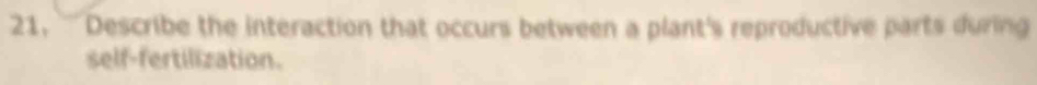 21, '''' Describe the interaction that occurs between a plant's reproductive parts during 
self-fertilization.