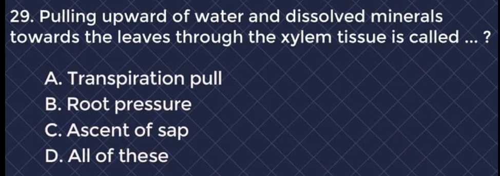 Pulling upward of water and dissolved minerals
towards the leaves through the xylem tissue is called ... ?
A. Transpiration pull
B. Root pressure
C. Ascent of sap
D. All of these