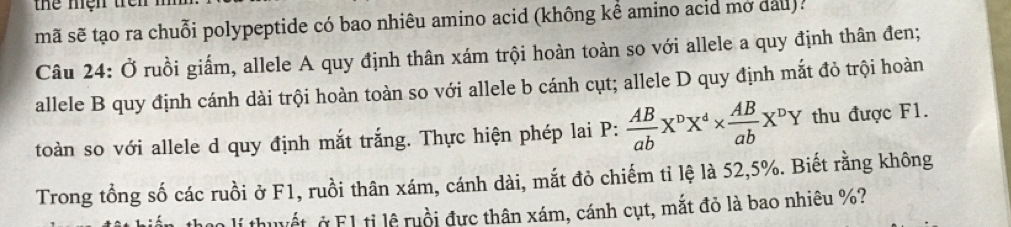 the mện trên 
mã sẽ tạo ra chuỗi polypeptide có bao nhiêu amino acid (không kể amino acid mở dau) . 
Câu 24: Ở ruồi giấm, allele A quy định thân xám trội hoàn toàn so với allele a quy định thân đen; 
allele B quy định cánh dài trội hoàn toàn so với allele b cánh cụt; allele D quy định mắt đỏ trội hoàn 
toàn so với allele d quy định mắt trắng. Thực hiện phép lai P:  AB/ab X^DX^4*  AB/ab X^DY thu được F1. 
Trong tồng số các ruồi ở F1, ruồi thân xám, cánh dài, mắt đỏ chiếm tỉ lệ là 52, 5%. Biết rằng không 
thuyết ở F1 tỉ lệ ruồi đực thân xám, cánh cụt, mắt đỏ là bao nhiêu %?