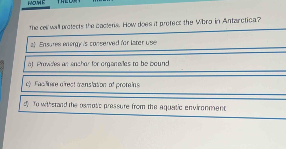 HOME THEL
The cell wall protects the bacteria. How does it protect the Vibro in Antarctica?
a) Ensures energy is conserved for later use
b) Provides an anchor for organelles to be bound
c) Facilitate direct translation of proteins
d) To withstand the osmotic pressure from the aquatic environment