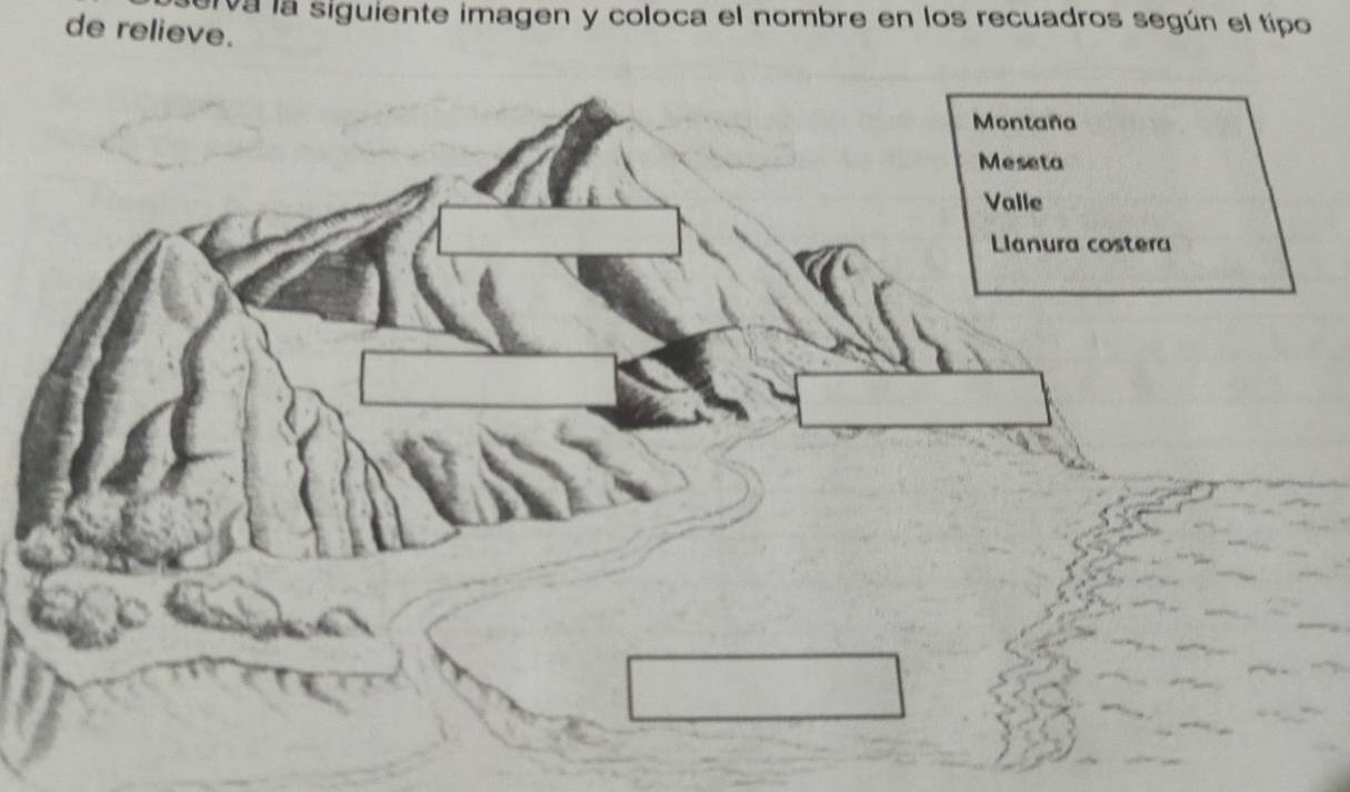 erva la siguiente imagen y coloca el nombre en los recuadros según el tipo 
de relieve. 
Montaña 
Meseta 
Valle 
Llanura costera