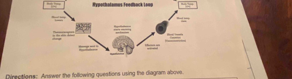 Directions: Answer the following questions using the diagram above.