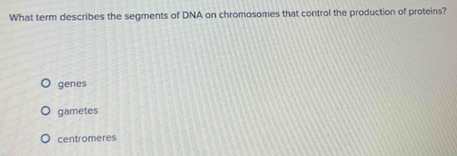 What term describes the segments of DNA on chromosomes that control the production of proteins?
genes
gametes
centromeres