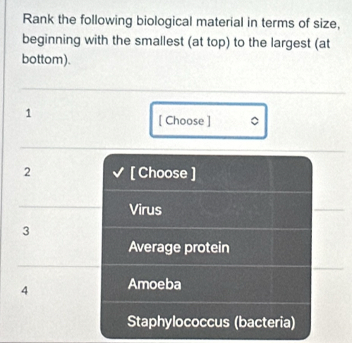 Rank the following biological material in terms of size,
beginning with the smallest (at top) to the largest (at
bottom).
1
[ Choose ] 。
2 [ Choose ]
Virus
3
Average protein
4
Amoeba
Staphylococcus (bacteria)