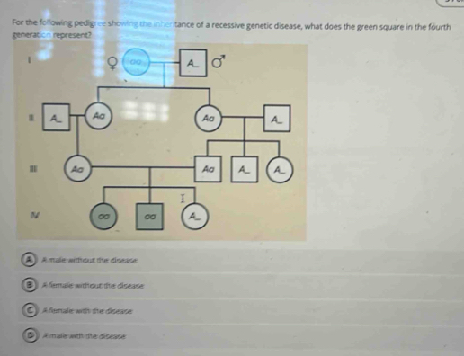 For the following pedigree showing the inheritance of a recessive genetic disease, what does the green square in the fourth
generation represent?
A male wih out the disease
B  Afemaie without te disease
é fimale with die disease
D  A male wh the disease