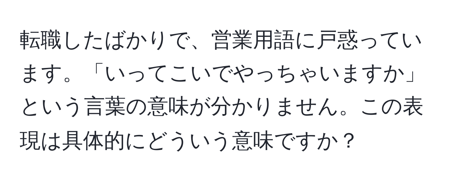 転職したばかりで、営業用語に戸惑っています。「いってこいでやっちゃいますか」という言葉の意味が分かりません。この表現は具体的にどういう意味ですか？