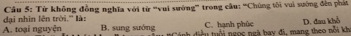 Từ không đồng nghĩa với từ “vui sướng” trong câu: “Chúng tôi vui sướng đến phát
đại nhìn lên trời.” là:
A. toại nguyện B. sung sướng C. hạnh phúc D. đau khổ
nh diều tuổi ngọc ngà bay đi, mang theo nỗi kh