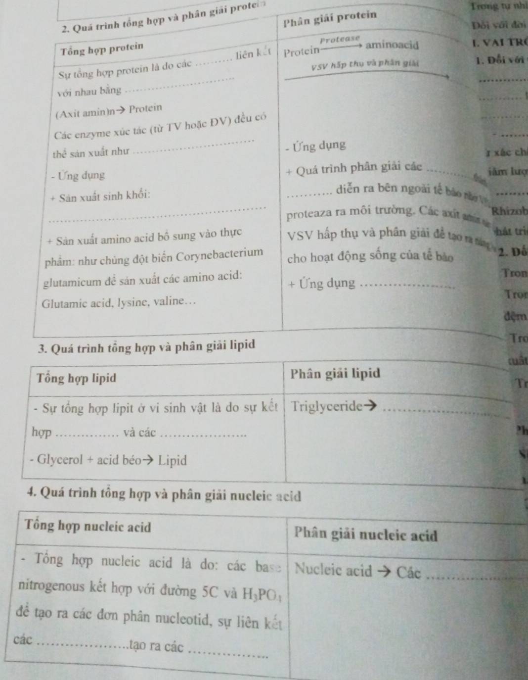 Quá trình tổng hợp và phân giải protei
Trong tự nhì
Phân giải protein
Đối với đời
Protease
Tổng hợp protein
aminoacid L VAI TR(
Sự tổng hợp protein là do các_ liên kết Protein
VSV hấp thụ và phân giải 1. Đổi với
_
_
với nhau bằng
_
_
(Axit amin)n→ Protein
_
_
Các enzyme xúc tác (từ TV hoặc ĐV) đều có
thể sản xuất như - Ứng dụng
r xác ch
- Ứng dụng
+ Quá trình phân giải các _liàm lượ
+ Sản xuất sinh khối:
_diễn ra bên ngoài tế bào nào V_
_proteaza ra môi trường. Các axit amat Rhízob
ht trì
+ Sản xuất amino acid bổ sung vào thực VSV hấp thụ và phân giải để tạo m t 2. Để
phẩm: như chủng đột biển Corynebacterium cho hoạt động sống của tế bào
Tron
glutamicum đề sản xuất các amino acid: + Ứng dụng_
Glutamic acid, lysine, valine…
Tror
đệm
3. Quá trình tổng hợp và phân giải lipid
Tro
cuật
Tổng hợp lipid Phân giải lipid
Tr
- Sự tổng hợp lipit ở vi sinh vật là do sự kết Triglyceride
_
hợp _và các_
- Glycerol + acid béo·  Lipid
4. Quá trình tổng hợp và phân giải nucleic acid