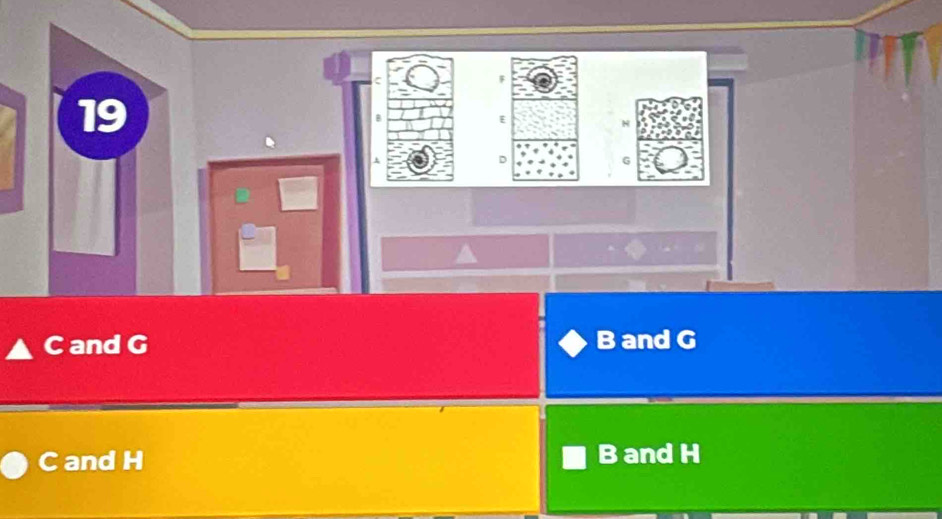 F
19
E
N
3
C and G B and G
C and H B and H