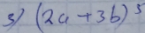 3 (2a+3b)^5