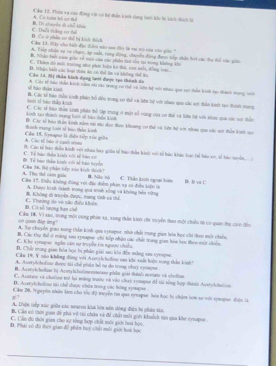 Cầu 12. Phin xạ của động vật có hệ thần kinh dạng lướn khi bị kích thích là
A. Có toàn bộ cơ thể
B. Di chuyên đi chỗ khác
C. Duỗi thăng cơ thể
D. Co ở phần cơ thể bị kích thích
Câu 13. Hãy cho biết đặc điểm nào sau đây là vai trò của xúc giác ?
A. Tiếp nhận sự va chạm, áp suất, rung động, chuyển động được tiếp nhận bởi các thụ thể xức giác
B. Nhận biết cảm giác về mùi của các phần thứ tồn tại trong không khi
C. Thăm đò môi trường như phát hiện kẻ thủ, con mồi, đồng loại...
D. Nhận biết các loại thức ăn có thể ăn và không thể ăn.
Câu 14. Hệ thần kinh dạng lưới được tạo thành do
A. Các tế bảo thần kinh nằm rái rác trong cơ thể và liên hệ với nhau qua sợi thần kinh tạo thành mạng lưới
tế bào thần kinh
B. Các tế bảo thần kinh phân bố đều trong cơ thẻ và liên hệ với nhau qua các sợi thản kinh tạo thành mạng
lưới tế bào thần kinh
C. Các tế bào thần kinh phân bổ tập trung ở một số vũng của cơ thể và liên hệ với nhau qua các sợi thần
kinh tạo thành mạng lưới tế bảo thên kinh
D. Các tế bào thần kinh nằm rài rác dọc theo khoang cơ thể và liên hệ với nhau qua các sợi thần kinh tạo
thành mạng lưới tế bào thần kinh
Câu 15. Synapse là diện tiếp xúc giữa
A. Các tế bảo ở cạnh nhau
B. Các tế bào thần kinh với nhau hay giữa tế bảo thần kinh với tế bảo khác loại (tế bảo cơ, tế bảo tuyển,..)
C. Tế bào thần kinh với tế bảo cơ
D. Tể bào thần kinh với tế bảo tuyển
Câu 16. Bộ phận tiếp xúc kích thích?
A. Thụ thể cảm giác B. Não bộ C. Thần kinh ngoại biên D. B và C
Câu 17. Điều không đúng với đặc điểm phản xạ có điều kiện là
A. Được hình thành trong quá trinh sống và không bền vững
B. Không di truyền được, mang tinh cá thể.
C. Thường do vô não điều khiến.
D. Có số lượng hạn chế
Câu 18. Vì sao, trong một cung phản xạ, xung thần kinh chỉ truyền theo một chiều từ cơ quan thụ cảm đên
cơ quan đáp ứng?
A. Sự chuyên giao xung thần kinh qua synapse nhờ chất trung gian hỏa học chi theo một chiều.
B. Các thụ thể ở màng sau synapse chi tiếp nhận các chất trung gian hóa học theo một chiều.
C. Khe synapse ngăn cản sự truyền tin ngược chiều.
D. Chất trung gian hóa học bị phân giải sau khi đến màng sau synapse.
Câu 19. Ý nào không đúng với Acetylcholine sau khi xuất hiện xung thần kinh?
A. Acetylcholine được tải chế phân bố tự do trong chuỷ synapse .
B. Acetylcholine bị Acetylcholineesterase phân giải thành acetate và choline.
C. Acetate và choline trở lại màng trước và vào chuỷ synapse để tái tổng hợp thành Acetylcholine.
D. Acetylcholine tái chế được chứa trong các bóng synapse .
Câu 20. Nguyên nhân làm cho tốc độ truyền tin qua synapse hóa học bị chậm hơn so với synapse điện là
gi ?
A. Diện tiếp xúc giữa các neuron khá lớn nên dòng điện bị phân tấn.
B. Cần có thời gian để phá vỡ túi chứa và đề chất môi giới khuếch tán qua khe synapse .
C. Cần đú thời gian cho sự tổng hợp chất môi giới hoá học.
D. Phải có đủ thời gian đề phân huý chất môi giới hoá học