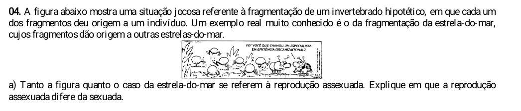 A figura abaixo mostra uma situação jocosa referente à fragmentação de um invertebrado hipotético, em que cada um 
dos fragmentos deu origem a um indivíduo. Um exemplo real muito conhecido é o da fragmentação da estrela-do-mar, 
cujos fragmentos dão origem a outras estrel as-do-mar. 
a) Tanto a figura quanto o caso da estrela-do-mar se referem à reprodução assexuada. Explique em que a reprodução 
assexuada difere da sexuada.