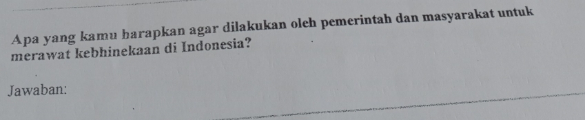 Apa yang kamu harapkan agar dilakukan oleh pemerintah dan masyarakat untuk 
merawat kebhinekaan di Indonesia? 
Jawaban: