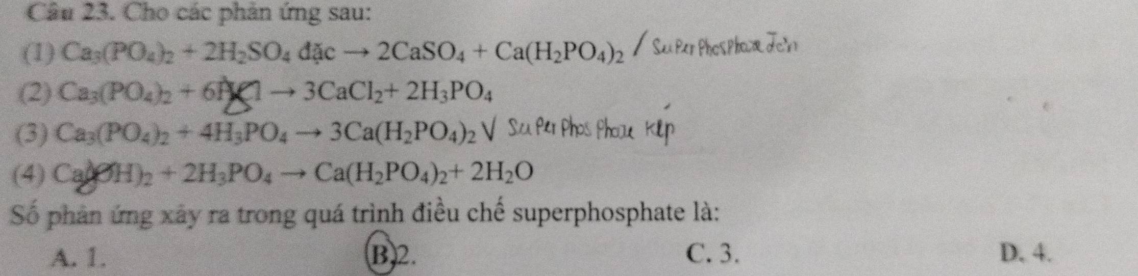 Cho các phản ứng sau:
(1) Ca_3(PO_4)_2+2H_2SO_4dacto 2CaSO_4+Ca(H_2PO_4)_2 / SuPer PhosphoæJok
(2) Ca_3(PO_4)_2+6H_2uparrow to 3CaCl_2+2H_3PO_4
(3) Ca_3(PO_4)_2+4H_3PO_4to 3Ca(H_2PO_4)_2 √
(4) Ca(OH)_2+2H_3PO_4to Ca(H_2PO_4)_2+2H_2O
Số phản ứng xây ra trong quá trình điều chế superphosphate là:
A. 1. B2. C. 3. D. 4.