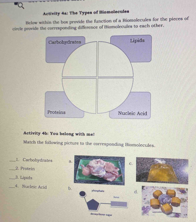 Activity 4a: The Types of Biomolecules
Below within the box provide the function of a Biomolecules for the pieces of
circle provide the corresponding difference of Biomolecules to each other.
Carbohydrates Lipids
Proteins Nucleic Acid
Activity 4b: You belong with me!
Match the following picture to the corresponding Biomolecules.
_1. Carbohydrates
c
_2. Protein
_3. Lipids
_4. Nucleic Acid b. d