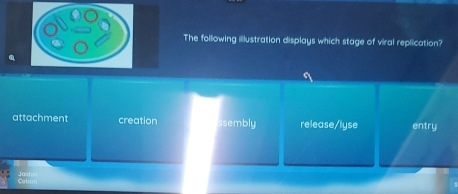 The following illustration displays which stage of viral replication?
attachment creation sembly release/lyse entry