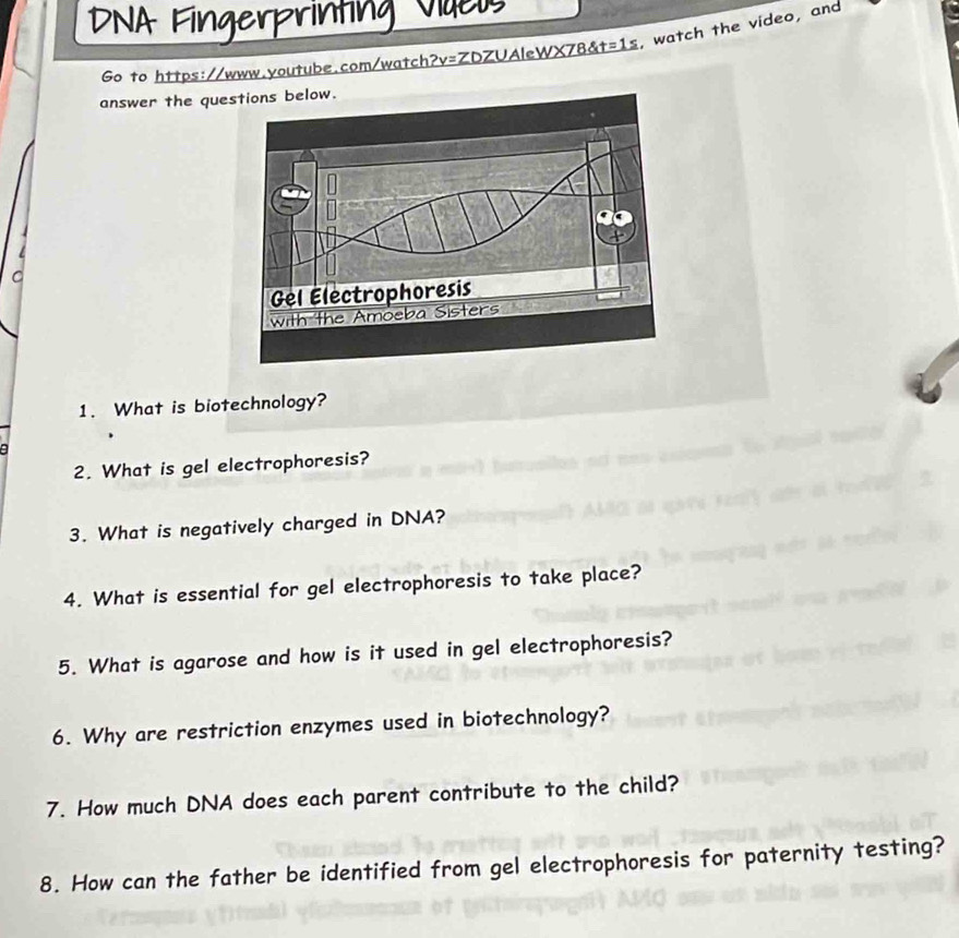 DNA Fingerprinting Vdeo 
Go to https://www.youtube.com/watch _ ?y= ZDZUAIeWX788 t=1 , watch the video, and 
answer the que 
C 
1. What is biotechnology? 
a 
2. What is gel electrophoresis? 
3. What is negatively charged in DNA? 
4. What is essential for gel electrophoresis to take place? 
5. What is agarose and how is it used in gel electrophoresis? 
6. Why are restriction enzymes used in biotechnology? 
7. How much DNA does each parent contribute to the child? 
8. How can the father be identified from gel electrophoresis for paternity testing?