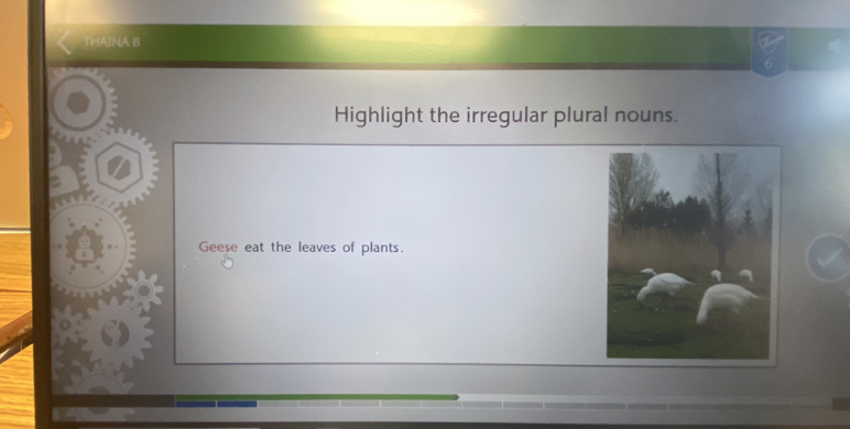 THAINA B 
Highlight the irregular plural nouns. 
Geese eat the leaves of plants.