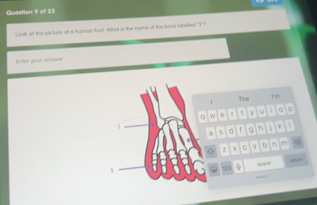 Solved: Look at the picture of a human foot. What is the name of the ...