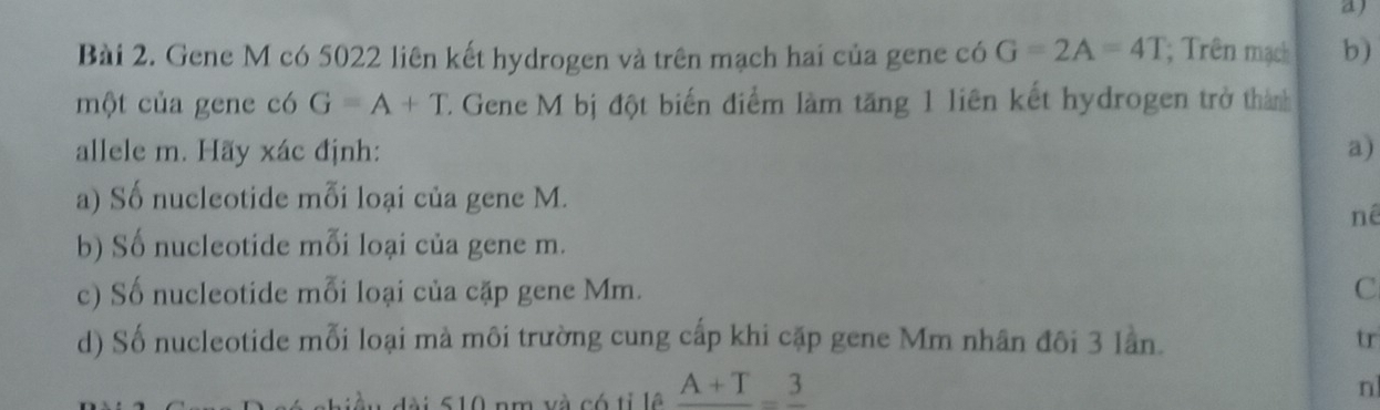 a
Bài 2. Gene M có 5022 liên kết hydrogen và trên mạch hai của gene có G=2A=4T; Trên mạch b)
một của gene có G=A+T T. Gene M bị đột biến điểm làm tăng 1 liên kết hydrogen trở thành
allele m. Hãy xác định: a)
a) Số nucleotide mỗi loại của gene M.
nê
b) Số nucleotide mỗi loại của gene m.
c) Số nucleotide mỗi loại của cặp gene Mm. C
d) Số nucleotide mỗi loại mà môi trường cung cấp khi cặp gene Mm nhân đôi 3 lần. tr
và có tỉ lệ frac A+T=frac 3
n