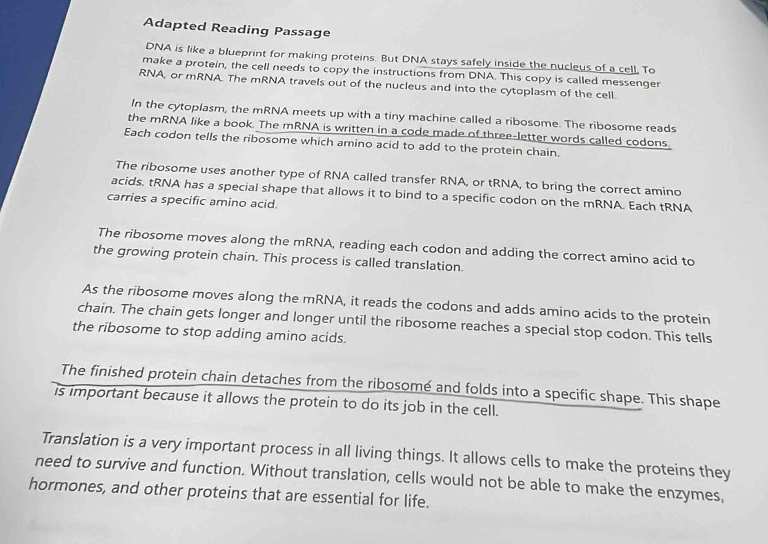 Adapted Reading Passage 
DNA is like a blueprint for making proteins. But DNA stays safely inside the nucleus of a cell, To 
make a protein, the cell needs to copy the instructions from DNA. This copy is called messenger 
RNA, or mRNA. The mRNA travels out of the nucleus and into the cytoplasm of the cell. 
In the cytoplasm, the mRNA meets up with a tiny machine called a ribosome. The ribosome reads 
the mRNA like a book. The mRNA is written in a code made of three-letter words called codons. 
Each codon tells the ribosome which amino acid to add to the protein chain. 
The ribosome uses another type of RNA called transfer RNA, or tRNA, to bring the correct amino 
acids. tRNA has a special shape that allows it to bind to a specific codon on the mRNA. Each tRNA 
carries a specific amino acid. 
The ribosome moves along the mRNA, reading each codon and adding the correct amino acid to 
the growing protein chain. This process is called translation. 
As the ribosome moves along the mRNA, it reads the codons and adds amino acids to the protein 
chain. The chain gets longer and longer until the ribosome reaches a special stop codon. This tells 
the ribosome to stop adding amino acids. 
The finished protein chain detaches from the ribosome and folds into a specific shape. This shape 
is important because it allows the protein to do its job in the cell. 
Translation is a very important process in all living things. It allows cells to make the proteins they 
need to survive and function. Without translation, cells would not be able to make the enzymes, 
hormones, and other proteins that are essential for life.