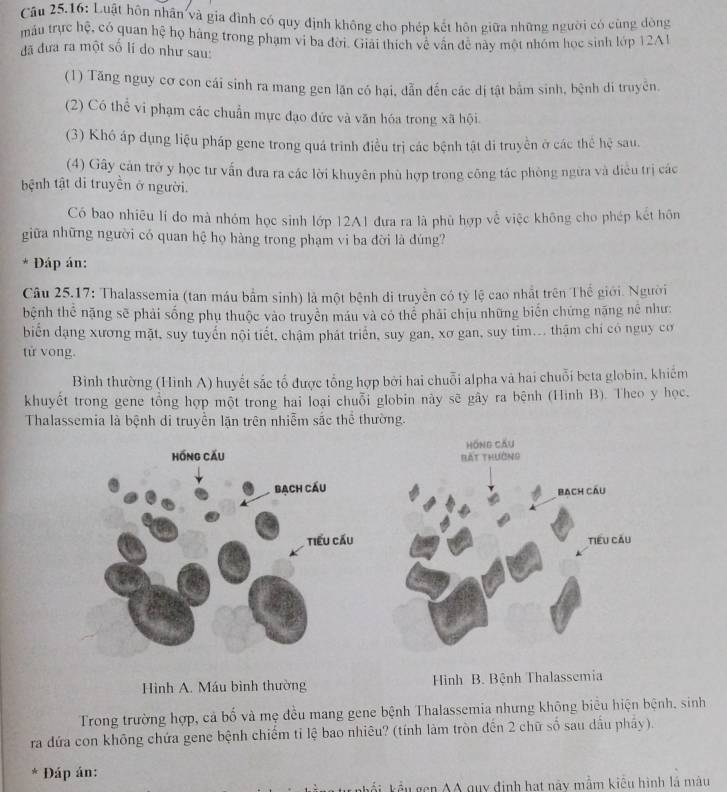 Câu 25.16: Luật hôn nhân và gia đình có quy định không cho phép kết hôn giữa những người có cùng dòng
máu trực hệ, có quan hệ họ hàng trong phạm vi ba đời. Giải thích về vẫn đề này một nhóm học sinh lớp 12A1
đã đưa ra một số lí do như sau:
(1) Tăng nguy cơ con cái sinh ra mang gen lặn có hại, dẫn đến các dị tật bảm sinh, bệnh di truyền.
(2) Có thể vi phạm các chuẩn mực đạo đức và văn hóa trong xã hội.
(3) Khó áp dụng liệu pháp gene trong quá trình điều trị các bệnh tật di truyền ở các thể hệ sau.
(4) Gây cản trở y học tư vấn đưa ra các lời khuyên phù hợp trong công tác phòng ngừa và điều trị các
bệnh tật di truyền ở người.
Có bao nhiều lí đo mà nhóm học sinh lớp 12A1 đựa ra là phù hợp về việc không cho phép kết hôn
giữa những người có quan hệ họ hàng trong phạm vi ba đời là dúng?
* Đáp án:
Câu 25.17: Thalassemia (tan máu bắm sinh) là một bệnh di truyền có tỷ lệ cao nhất trên Thế giới. Người
bệnh thể nặng sẽ phải sống phụ thuộc vào truyền máu và có thể phải chịu những biển chứng nặng nề như:
biến dạng xương mặt, suy tuyến nội tiết, chậm phát triển, suy gan, xơ gan, suy tim... thậm chỉ có nguy cơ
tử vong.
Bình thường (Hình A) huyết sắc tổ được tổng hợp bởi hai chuỗi alpha và hai chuỗi beta globin, khiêm
khuyết trong gene tổng hợp một trong hai loại chuỗi globin này sẽ gây ra bệnh (Hình B). Theo y học,
Thalassemia là bệnh di truyền lặn trên nhiễm sắc thể thường.
Hình A. Máu bình thường Hình B. Bệnh Thalassemia
Trong trường hợp, cả bố và mẹ đều mang gene bệnh Thalassemia nhưng không biểu hiện bệnh, sinh
ra đứa con không chứa gene bệnh chiếm tỉ lệ bao nhiêu? (tính làm tròn đến 2 chữ số sau dầu pháy).
* Đáp án:
k   kểu  gen AA quy định hạt này mẫm kiểu hình là màu