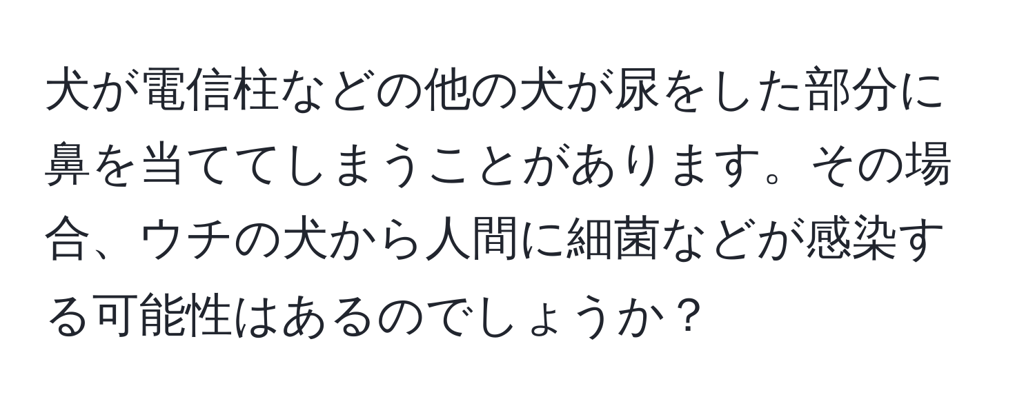 犬が電信柱などの他の犬が尿をした部分に鼻を当ててしまうことがあります。その場合、ウチの犬から人間に細菌などが感染する可能性はあるのでしょうか？