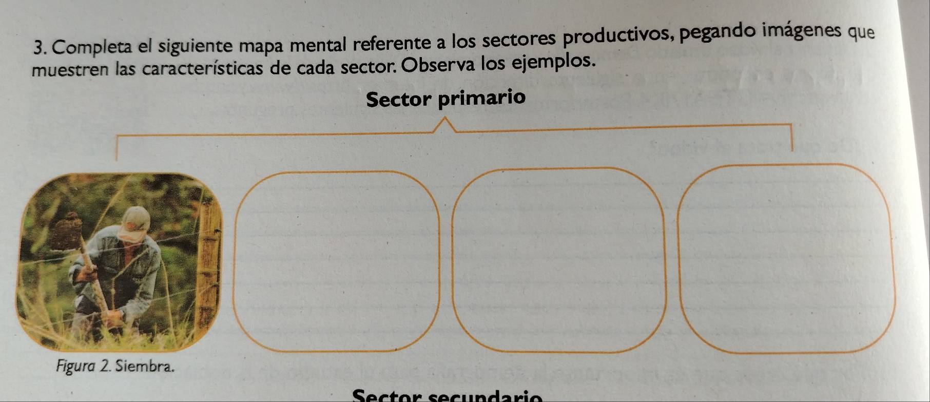 Completa el siguiente mapa mental referente a los sectores productivos, pegando imágenes que 
muestren las características de cada sector. Observa los ejemplos. 
Sector secundario