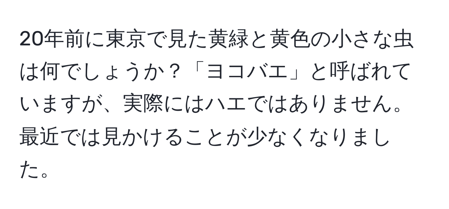 20年前に東京で見た黄緑と黄色の小さな虫は何でしょうか？「ヨコバエ」と呼ばれていますが、実際にはハエではありません。最近では見かけることが少なくなりました。