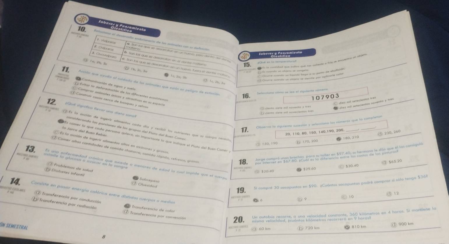Eetaciona el desarralla embrionario de los animales con su definición
1. Viviporos fates loé que se desarratian en un huevo, pero dentró del vens,
on Saberez y Pensamiento
2. Ovparos a. Son los que se desarrolián en el vientre materno
Es by contidad que indica que ton caliente a frío se enquentry un objeto
15. Qué es la temperatural
3. Ovoviviparo 6. Son los que se desasolian en un huevo, fuera el vientre matern C Ocurre cuando un liquido llega a su punto de ebullición
③ 1a, 2b, 3c ⑥ 1b, 2s, 3a 1
É Es cusndo un objeto se congelo
J Ocurre cuando un objets se derrite por oplicarie calor
C 1s 2b, 3
11. Acción que ayuda al cuidado de los animales que están en peligro de extinción
Contominación de agua y suelo
16.  Selecziono cómo se lee el siguiente número
Exitar la deforestación de los diferentes ecosistemas
107903
Comprar animales únicos y atractivos en su especie
Construir casas cerca de bosques y  selvas
C diez mil setecientos tres
(O) clento slete mil noventa y tres
diez mil setecientos noventa y tres
12. #Qué signífica llevar una dieta sana
D  ciento siete mil novecientos tres
17. Observa la siguiente sucesión y selecciona las números que la completan
cmden ① Es la acción de ingerir alimentos cada día y recibir los nutrientes que su cuerpo necesin
considerando las porciones de los grupos del Plato del Buen Comer
la Jarra del Buén Beber
20, 110, 80, 150, 140,190, 200,
③ 230, 260
HEs comer la que cada persona quiera, sin importante lo que indique el Plato del Buen Camer 
α150,190 b 170, 200 180, 210
s la acción de ingerir alimentos altos en azúcares y grasas
1 Comer altas cantidades de comida chatarra, comida rápida, refresco, grasas
Jorge compró unas brochas. para su taller en $97.40; su hermano le dijo que él las consiguló
MOT    ！
18. par internet en $67.80. ¿Cuál es la diferencia entre los castas de las pinturas?
asimile la glucosa o azúcar en la sangre
ⓓ $65.20
13. Es una enfermedad crónica que sucede a menores de edad la cual impide que el cuerpo
ā $20.40 $29.60 Ⓒ $30.40
Problemas de salud Sobrepeso
Diabetes infantil Obesidad
19. 5l compré 30 sacapuntas en $90. ¿Cuántos sacapuntas podré comprar sí sólo tengo $367
14. Consiste en pasar energía calórica entre distintos cuerpos o medios
CTOS COO ARES F H8 A Transferencia por conducción
b 9 ◎ 10 ③ 12
Transferencia par radiación
Transferencia de calor
Transferencia por convección
Un autabús recorre, a una velocidad constante, 360 kilómetros en 4 horas. Si mantiene la
20. misma velocidad, ¿cuántos kilómetros recorrerá en 9 horas?
Ön semestral 810 km
68= 70155800005 (a)60 km ⓑ 720 km 900km
8