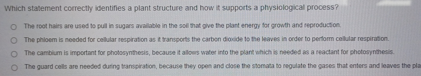 Which statement correctly identifies a plant structure and how it supports a physiological process?
The root hairs are used to pull in sugars available in the soil that give the plant energy for growth and reproduction.
The phloem is needed for cellular respiration as it transports the carbon dioxide to the leaves in order to perform cellular respiration.
The cambium is important for photosynthesis, because it allows water into the plant which is needed as a reactant for photosynthesis.
The guard cells are needed during transpiration, because they open and close the stomata to regulate the gases that enters and leaves the pla