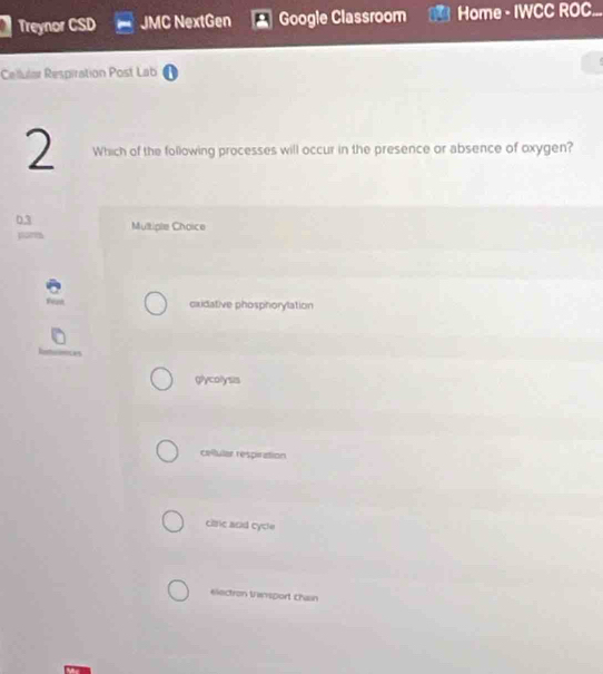 Treynor SD JMC NextGen Google Classroom Home - IWCC ROC...
Cellular Respiration Post Lab
2 Which of the following processes will occur in the presence or absence of oxygen?
03 Multiple Choice
cxidative phosphorylation
glycolysis
celtular respiration
citric and cycle
electron Vesport chain