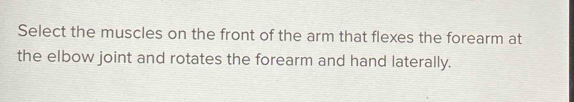 Select the muscles on the front of the arm that flexes the forearm at 
the elbow joint and rotates the forearm and hand laterally.