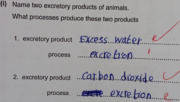 Name two excretory products of animals. 
What processes produce these two products 
1. excretory product 
_ 
process_ 
2. excretory product_ 
process_