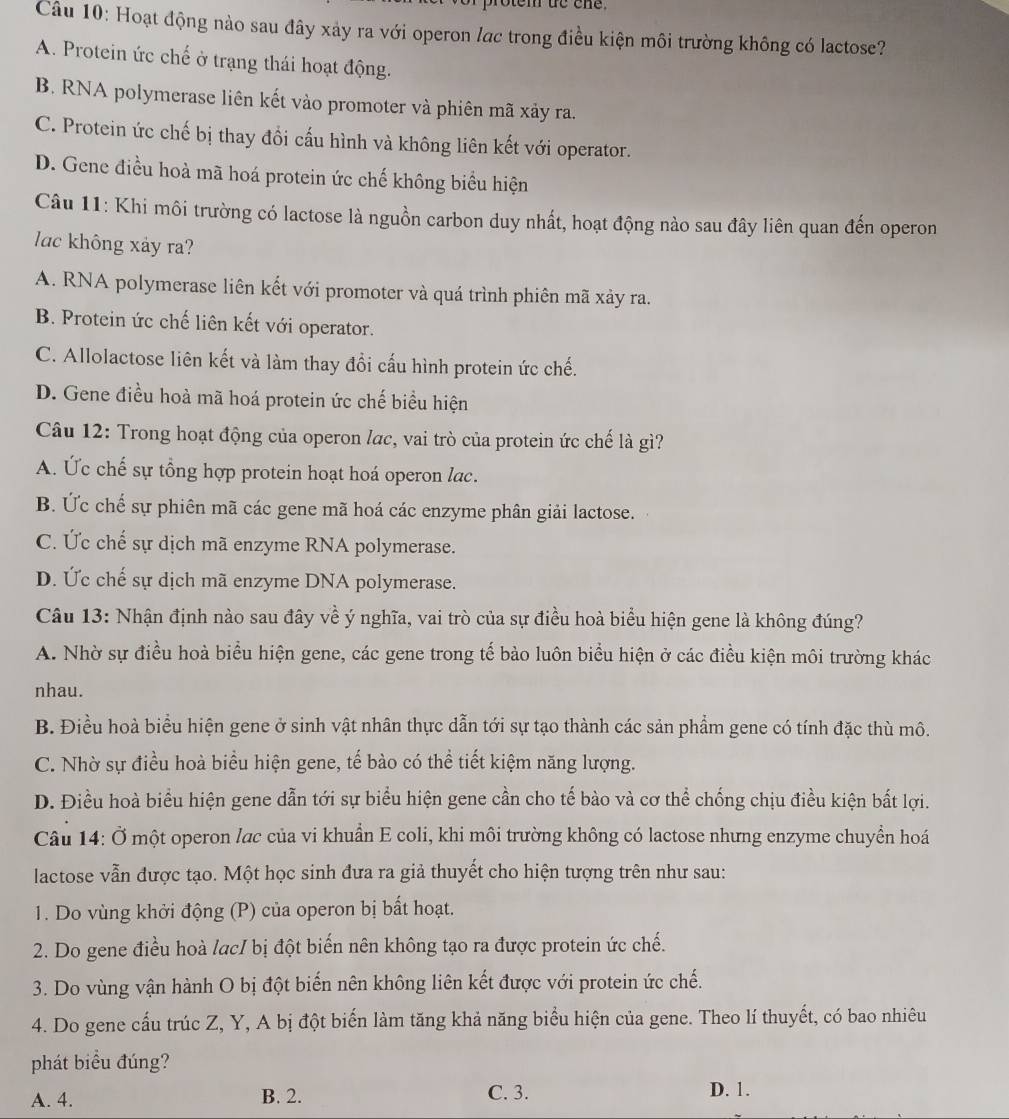 otem te ene .
Câu 10: Hoạt động nào sau đây xảy ra với operon lac trong điều kiện môi trường không có lactose?
A. Protein ức chế ở trạng thái hoạt động.
B. RNA polymerase liên kết vào promoter và phiên mã xảy ra.
C. Protein ức chế bị thay đồi cấu hình và không liên kết với operator.
D. Gene điều hoà mã hoá protein ức chế không biểu hiện
Câu 11: Khi môi trường có lactose là nguồn carbon duy nhất, hoạt động nào sau đây liên quan đến operon
lac không xảy ra?
A. RNA polymerase liên kết với promoter và quá trình phiên mã xảy ra.
B. Protein ức chế liên kết với operator.
C. Allolactose liên kết và làm thay đồi cấu hình protein ức chế.
D. Gene điều hoà mã hoá protein ức chế biểu hiện
Câu 12: Trong hoạt động của operon lac, vai trò của protein ức chế là gì?
A. Ức chế sự tổng hợp protein hoạt hoá operon lac.
B. Ức chế sự phiên mã các gene mã hoá các enzyme phân giải lactose.
C. Ức chế sự dịch mã enzyme RNA polymerase.
D. Ức chế sự dịch mã enzyme DNA polymerase.
Câu 13: Nhận định nào sau đây về ý nghĩa, vai trò của sự điều hoà biểu hiện gene là không đúng?
A. Nhờ sự điều hoà biểu hiện gene, các gene trong tế bảo luôn biểu hiện ở các điều kiện môi trường khác
nhau.
B. Điều hoà biểu hiện gene ở sinh vật nhân thực dẫn tới sự tạo thành các sản phẩm gene có tính đặc thù mô.
C. Nhờ sự điều hoà biểu hiện gene, tế bào có thể tiết kiệm năng lượng.
D. Điều hoà biểu hiện gene dẫn tới sự biểu hiện gene cần cho tế bào và cơ thể chống chịu điều kiện bất lợi.
Câu 14: Ở một operon lạc của vi khuẩn E coli, khi môi trường không có lactose nhưng enzyme chuyển hoá
lactose vẫn được tạo. Một học sinh đưa ra giả thuyết cho hiện tượng trên như sau:
1. Do vùng khởi động (P) của operon bị bất hoạt.
2. Do gene điều hoà lac/ bị đột biến nên không tạo ra được protein ức chế.
3. Do vùng vận hành O bị đột biến nên không liên kết được với protein ức chế.
4. Do gene cấu trúc Z, Y, A bị đột biến làm tăng khả năng biểu hiện của gene. Theo lí thuyết, có bao nhiêu
phát biểu đúng?
A. 4. B. 2.
C. 3. D. 1.