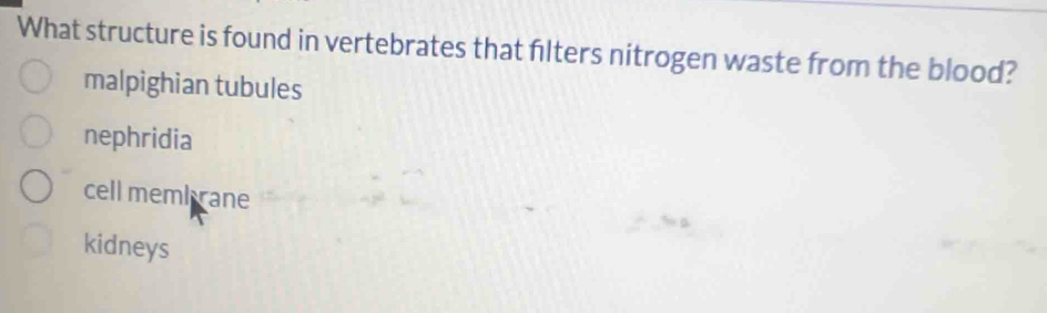 What structure is found in vertebrates that filters nitrogen waste from the blood?
malpighian tubules
nephridia
cell membrane
kidneys