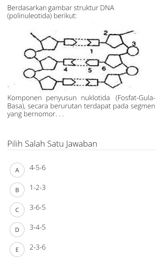 Berdasarkan gambar struktur DNA
(polinuleotida) berikut:
Komponen penyusun nuklotida (Fosfat-Gula-
Basa), secara berurutan terdapat pada segmen
yang bernomor. . .
Pilih Salah Satu Jawaban
A  4 -5 -6
B  1 -2 -3
c) 3 -6 -5
D  3 -4 -5
E  2 -3 -6