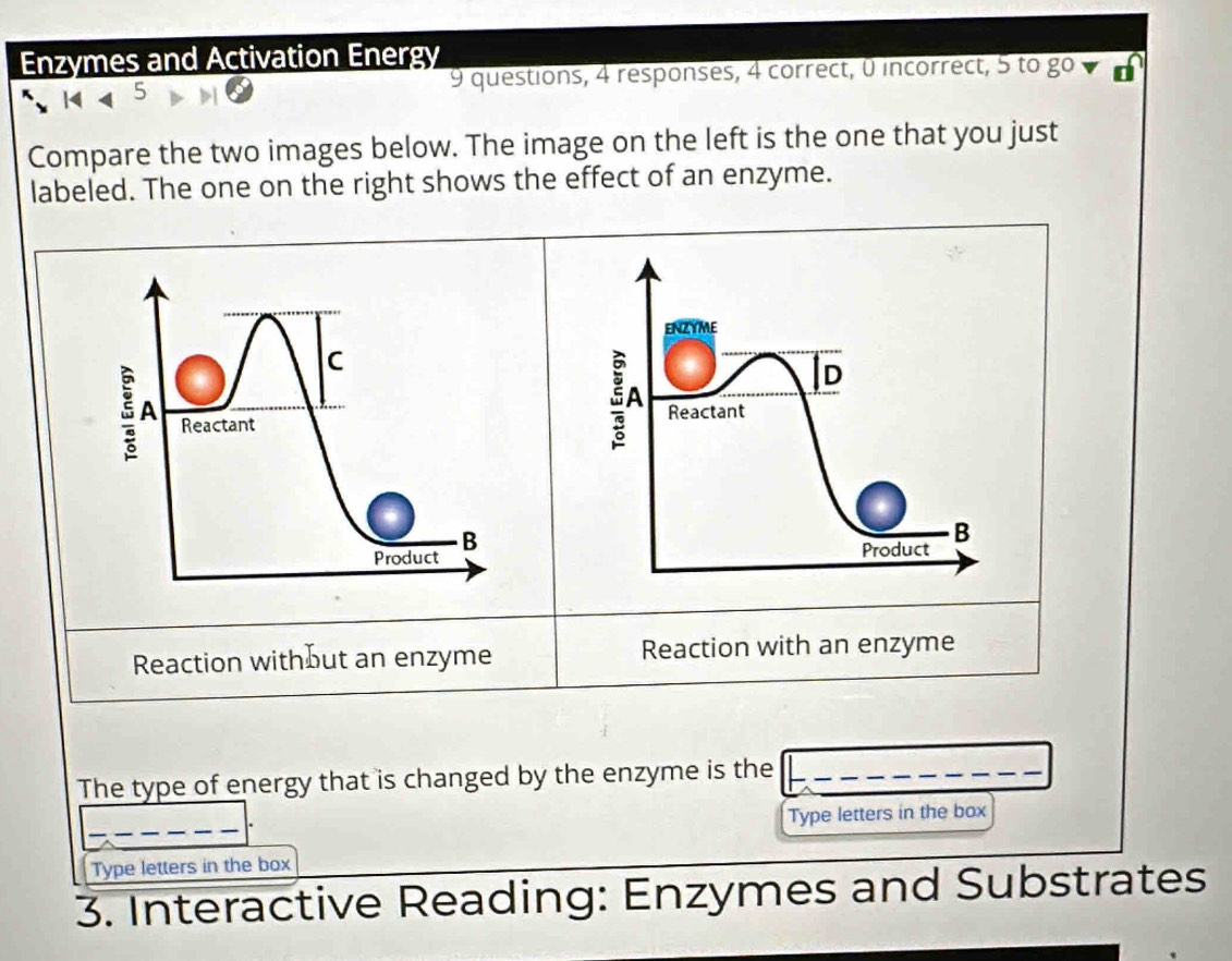 Enzymes and Activation Energy 
9 questions, 4 responses, 4 correct, 0 incorrect, 5 to go 
Compare the two images below. The image on the left is the one that you just 
labeled. The one on the right shows the effect of an enzyme. 
ENZYME 
|D 
5 A Reactant 
B 
Product 
Reaction withbut an enzyme Reaction with an enzyme 
The type of energy that is changed by the enzyme is the 
Type letters in the box 
Type letters in the box 
3. Interactive Reading: Enzymes and Substrates