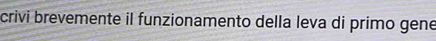 crivi brevemente il funzionamento della leva di primo gene