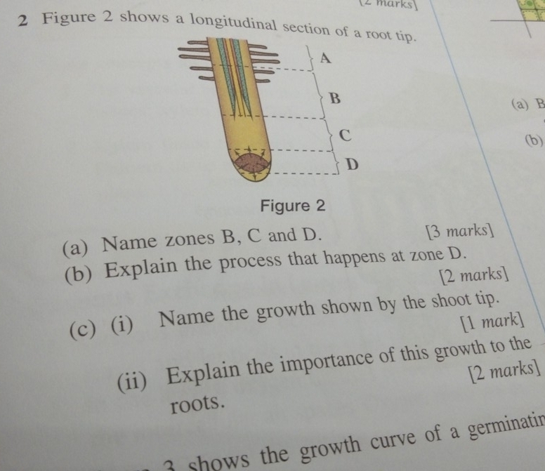 Figure 2 shows a longitudinal sectioot tip. 
(a) B
(b) 
Figure 2 
(a) Name zones B, C and D. [3 marks] 
(b) Explain the process that happens at zone D. 
[2 marks] 
(c) (i) Name the growth shown by the shoot tip. 
[1 mark] 
(ii) Explain the importance of this growth to the 
roots. [2 marks] 
3 shows the growth curve of a germinatin