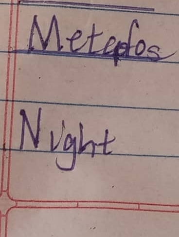 Metaples 
Night