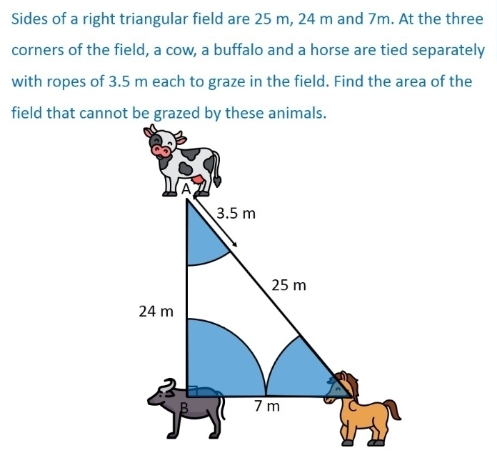 Sides of a right triangular field are 25 m, 24 m and 7m. At the three 
corners of the field, a cow, a buffalo and a horse are tied separately 
with ropes of 3.5 m each to graze in the field. Find the area of the 
field that cannot