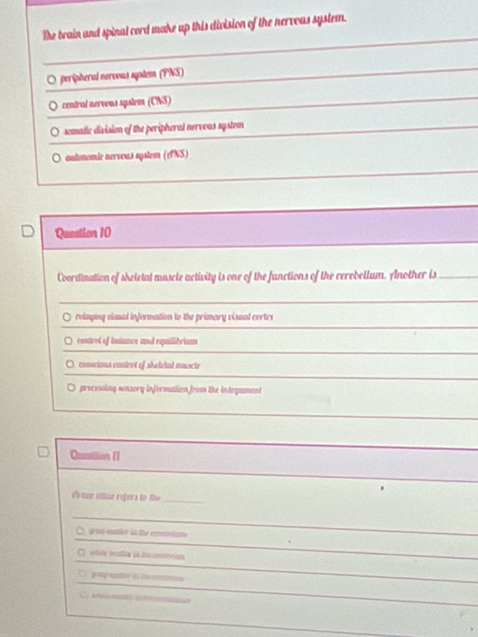 The brain and spinal cord make up this division of the nervous system.
peripheral nervous system (PNS)
centrul neroous system (CNS)
somatic division of the peripheral nervous system
○ autonomic nervous system (ANS)
Question 10
Coordination of sheletal muscle activity is one of the functions of the cerobellum. Another is_
rolmping vismal information to the primary vismal cortex
control of buiance and equilidrium
conscious centrol of sheletat muscie
processing senzory information from the integument
Queation (
_
vs tor viue refers to the_
_
○ g no salive to the crenotuos
_
_
whte maller là te céonan
gouy sene in the ms teno