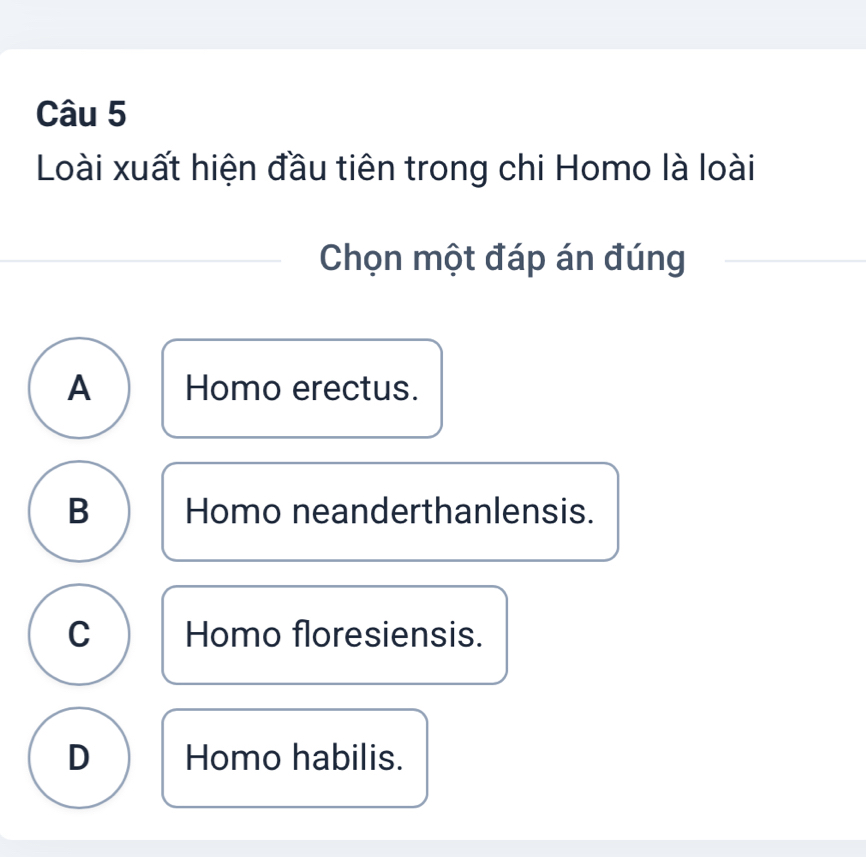 Loài xuất hiện đầu tiên trong chi Homo là loài
Chọn một đáp án đúng
A Homo erectus.
B Homo neanderthanlensis.
C Homo floresiensis.
D Homo habilis.