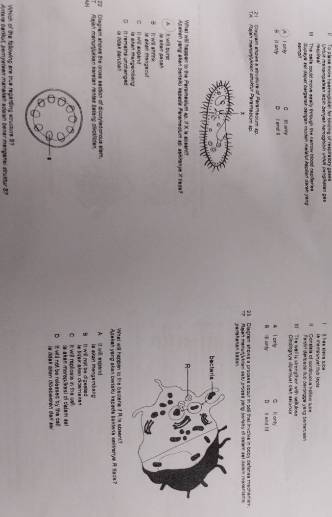 ll To place more haemogiobin for binding of respiratory gases
Untuk menempatkan labin benyak hemogiobin untuk pengiketen ges I It has sieve tube
respireal la mempunyal tiub tapia
IIl The cells could move easily through the narrow blood capiliaries ll Consists of continuous hollow tub
Supaye sel dapat bergarak dengan mudeh melalul kapliari dereh yang Terdiri deripada tlub berongge yang berterusan
semplt III The wall is strengthen with cellulose
Dindingnya diperkuat oish selulose
A l onty C ill only
D
B lionly I and I A I only C ll onty
B Ill only D Il and III
21 Diagram shows a structure of Paramecium ap.
TA Rajah menunjukkan struktur Paramecium sp. 23 Diagram shows a process occur in cell that involve in body defense machanism.
TF Rajeh menunjukken satu proses yang berlaku di delem sei delem mekenisme
pertahanan badan.
What will happen to the Paramecium sp. if X is absent?
Apakeh yang eken beraku kapede Peramecium sp. sekiranya X tiede?
A It will burst
la akan pacah
B It will shrink
la akan mengecut
C it will expand
ls akan mengembang
D It remains unchanged
is tidak berubah What will happen to the bacteria if R is absent?
Apakah yang akan beriaku kepada bakteria sekiranye R tiada?
22 Diagram shows the cross section of dicotyledonous stem. A It will expand
T Rajah menunjukkan kerøten rentas betang dikotiliden. la akan mengembang
AN
B it will not be digested
la tidak akan dicerakan
C it will replicate in the cell
la akan mereplikasi di dalam sel
D It will not be released by the cell
is tidak aken dibebasken dad sel 
Which of the following are true regarding structure S?
Antera berikut, peryateen manakah edalah bener menganal struktur S?